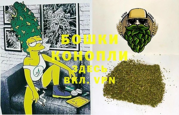 гидра Алексин