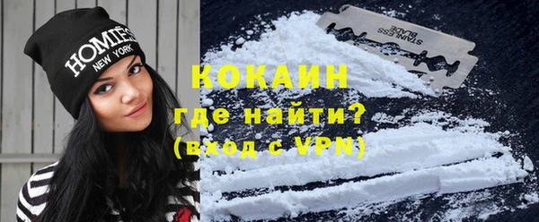 гидра Алексин